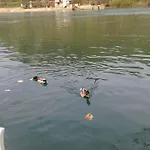 Σπίτι διακοπών Vacation Zara